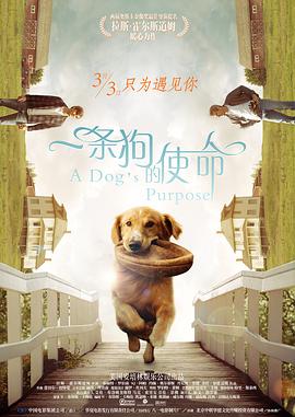综合久久久久久中文字幕
