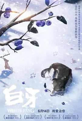 五月花综合